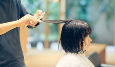 株式会社アピッシュのプレスリリース画像1