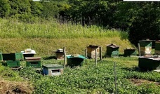 合同会社ナンバーエイトのプレスリリース画像2