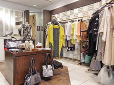 たち花のプレスリリース画像1