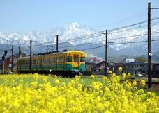 株式会社Asian Bridgeのプレスリリース画像3