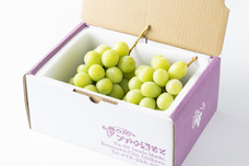 株式会社Asian Bridgeのプレスリリース画像2