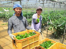 株式会社Asian Bridgeのプレスリリース画像3