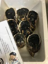 かきフォーラム製作委員会のプレスリリース画像1