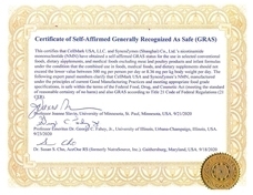 ブリジアン株式会社のプレスリリース画像2