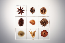 有限会社コニーカンパニーのプレスリリース画像1