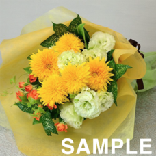 TSP太陽株式会社のプレスリリース画像2