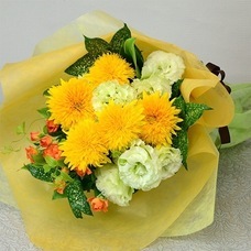 TSP太陽株式会社のプレスリリース画像1