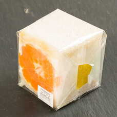 モンテステリース有限会社のプレスリリース画像5