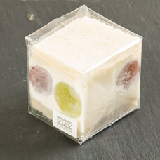 モンテステリース有限会社のプレスリリース画像4