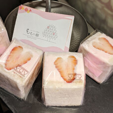 モンテステリース有限会社のプレスリリース画像2