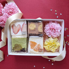 モンテステリース有限会社のプレスリリース画像3