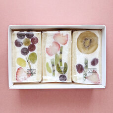 モンテステリース有限会社のプレスリリース画像2