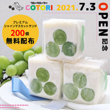 モンテステリース有限会社のプレスリリース画像1