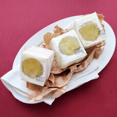 モンテステリース有限会社のプレスリリース画像4