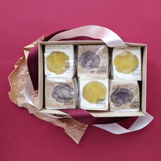 モンテステリース有限会社のプレスリリース画像2