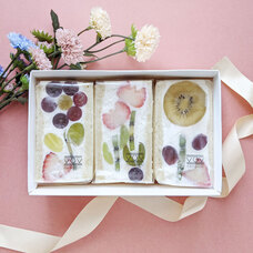 モンテステリース有限会社のプレスリリース画像3