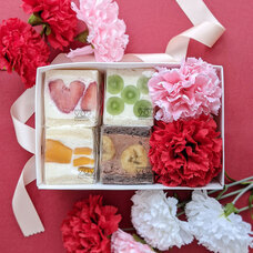 モンテステリース有限会社のプレスリリース画像2