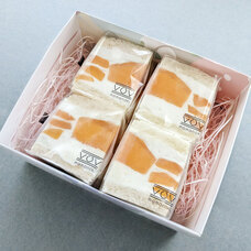 モンテステリース有限会社のプレスリリース画像2