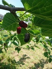 株式会社プローバルのプレスリリース画像1