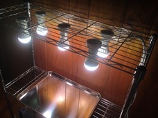 有限会社クールのプレスリリース画像1