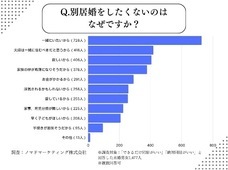 ノマドマーケティング株式会社のプレスリリース画像3