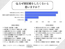 ノマドマーケティング株式会社のプレスリリース画像5