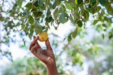 X CAREのプレスリリース画像1