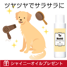 株式会社ジョリーブのプレスリリース画像3