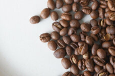 株式会社　タビノネのプレスリリース画像3