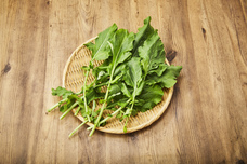 株式会社ハイファイブのプレスリリース画像2