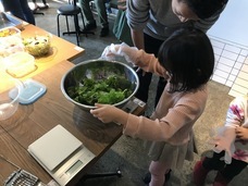 株式会社ハイファイブのプレスリリース画像3