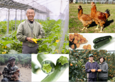 株式会社ハイファイブのプレスリリース画像2