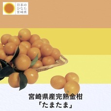 株式会社ハイファイブのプレスリリース画像2