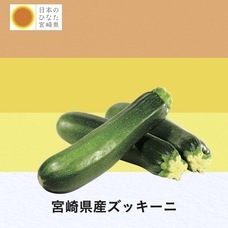 株式会社ハイファイブのプレスリリース画像3