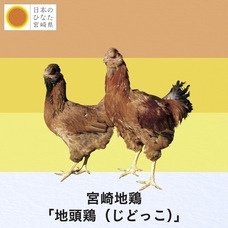 株式会社ハイファイブのプレスリリース画像4