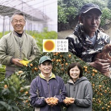 株式会社ハイファイブのプレスリリース画像5