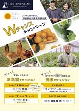 株式会社ハイファイブのプレスリリース画像2