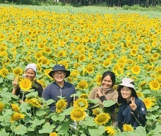 株式会社ハイファイブのプレスリリース画像1