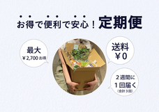 株式会社ハイファイブのプレスリリース画像5