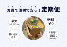 株式会社ハイファイブのプレスリリース画像6