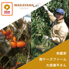 株式会社ハイファイブのプレスリリース画像3