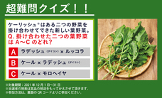 株式会社ハイファイブのプレスリリース画像3