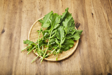 株式会社ハイファイブのプレスリリース画像2