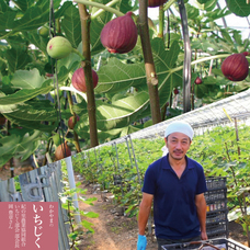 株式会社ハイファイブのプレスリリース画像5