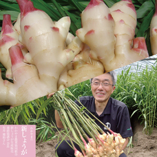 株式会社ハイファイブのプレスリリース画像6