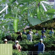 株式会社ハイファイブのプレスリリース画像7