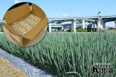 株式会社北海のプレスリリース画像1