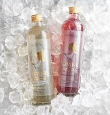 株式会社ライズワンのプレスリリース画像1