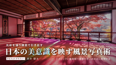 株式会社パセリホールディングスのプレスリリース画像1