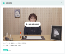 株式会社パセリホールディングスのプレスリリース画像2